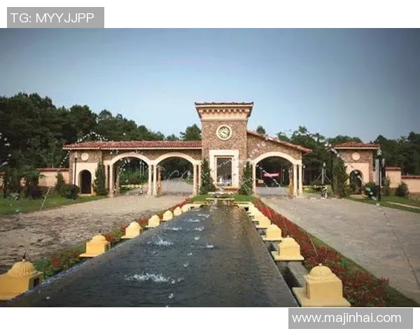 飞盘纪实：成都飞盘队的蜕变与成长之路全景记录